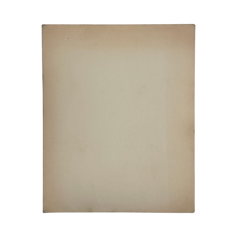 Chateaux De France Disparus; De Cossé Brissac, Philippe