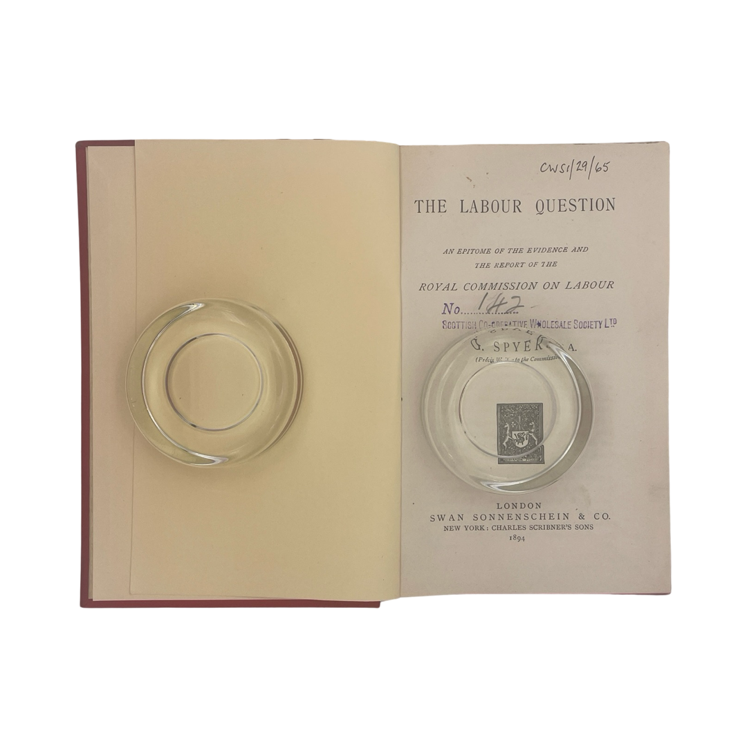 The Labour Question; Spyers, T G