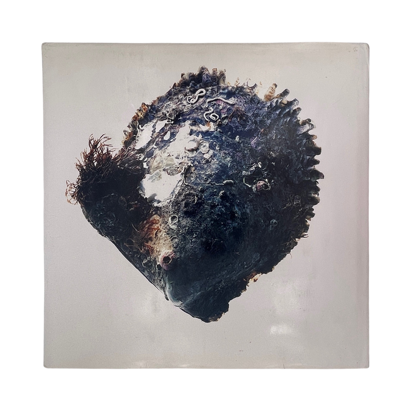 Pearls Ornament And Obsession; Joyce, Kristin; Addison, Shellei