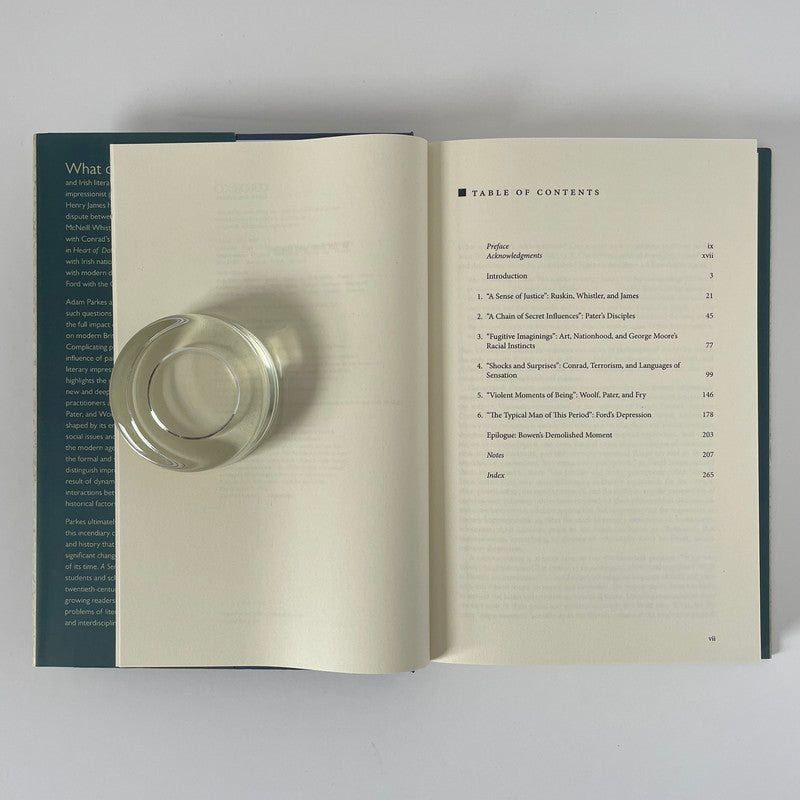 A Sense Of Shock, Impressionism On Modern British & Irish Writing; Parkes