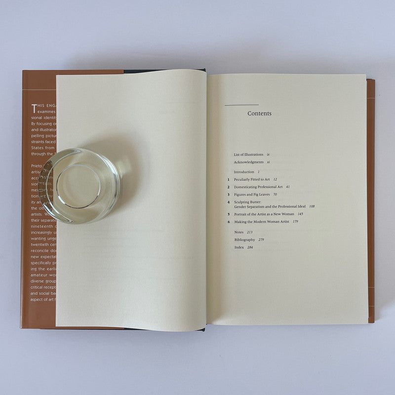 At Home In The Studio, The Professionalization Of Women Artists In America