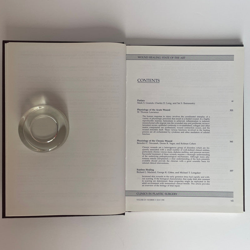 Clinics In Plastic Surgery, July 1998 Vol 25 No 3; Granick; Long; Ramasastry