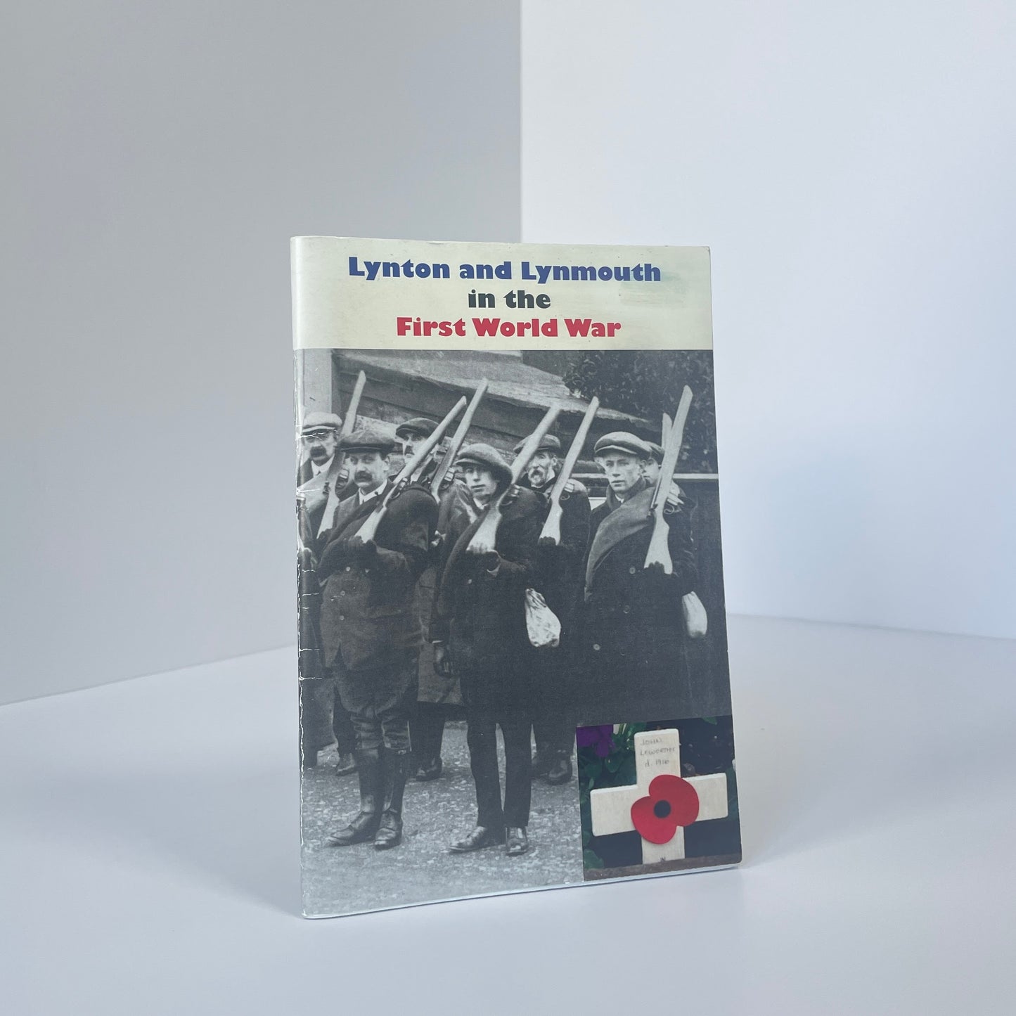 Lynton And Lynmouth In The First World War; Nicholson, Tony