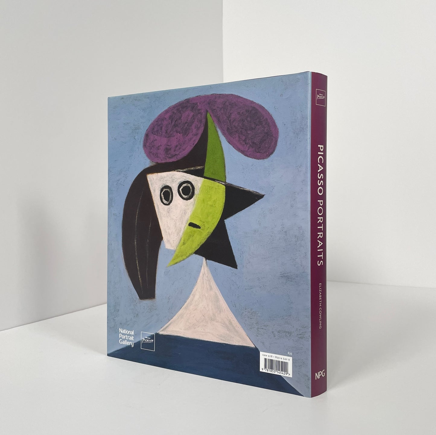 Picasso Portraits; Cowling, Elizabeth