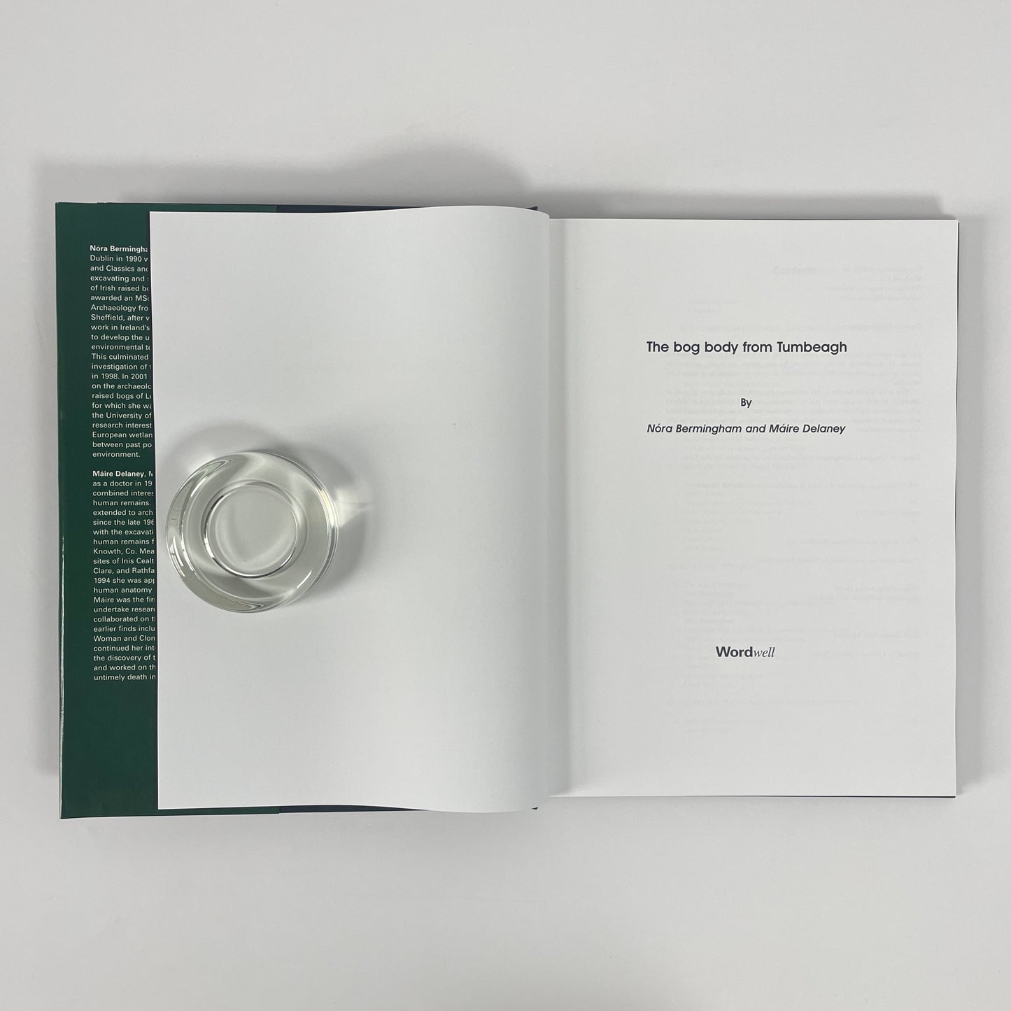 The Bog Body From Tumbeagh; Bermingham, Nora; Delaney, Maire