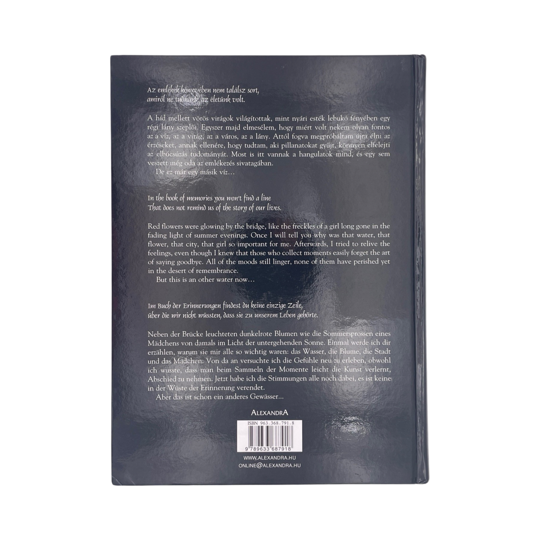 Gyor; Karoly, Csonka; Ferenc, Demjen; Istvan, Sz Koncz