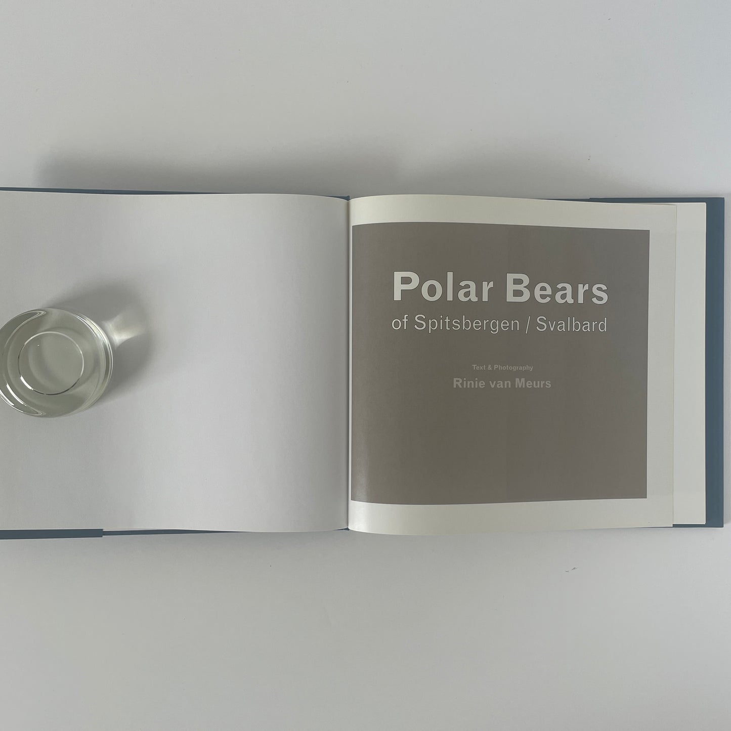 Polar Bears Of Spitsbergen/Svalbard; van Meurs, Rinie