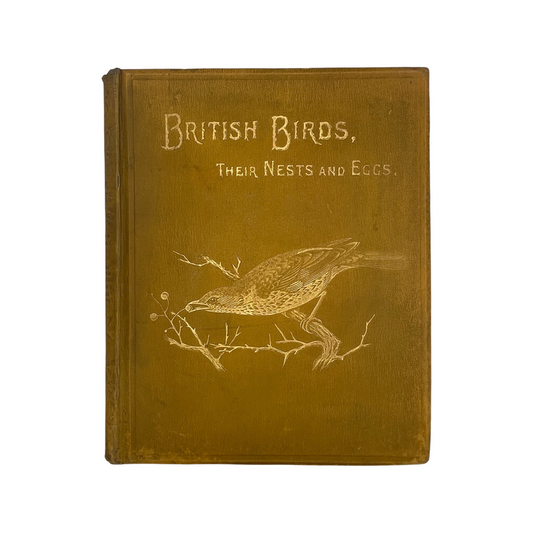 British Birds Their Nests And Eggs Volume V Tegetmeier W B & Slater Rev Henry Hardcover Book