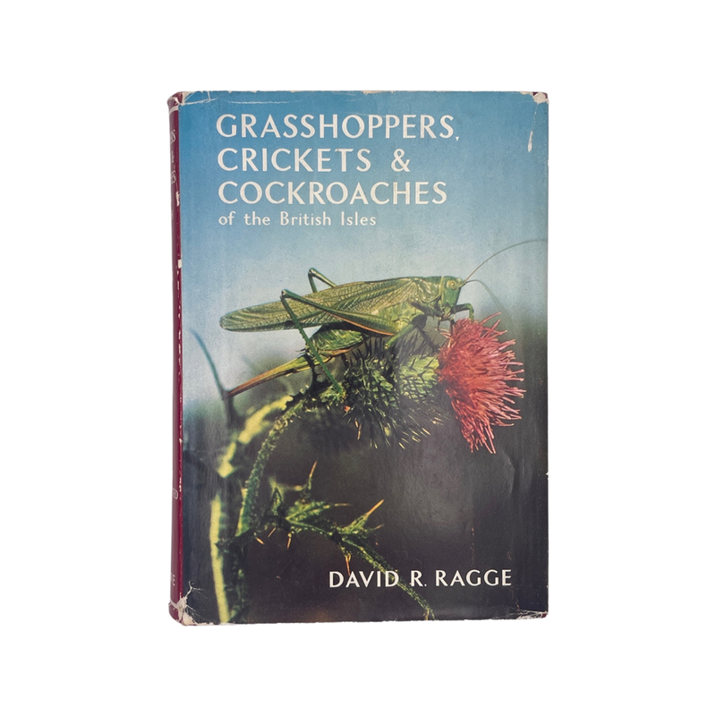 Grasshoppers, Crickets & Cockroaches Of The British Isles; Ragge, David R, Hardcover, Book