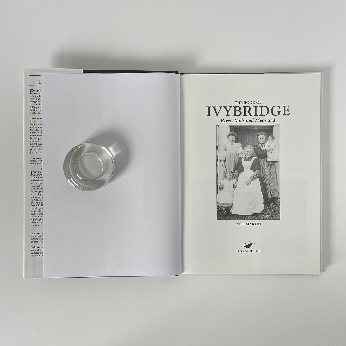 The Book Of Ivybridge; Martin, Ivor