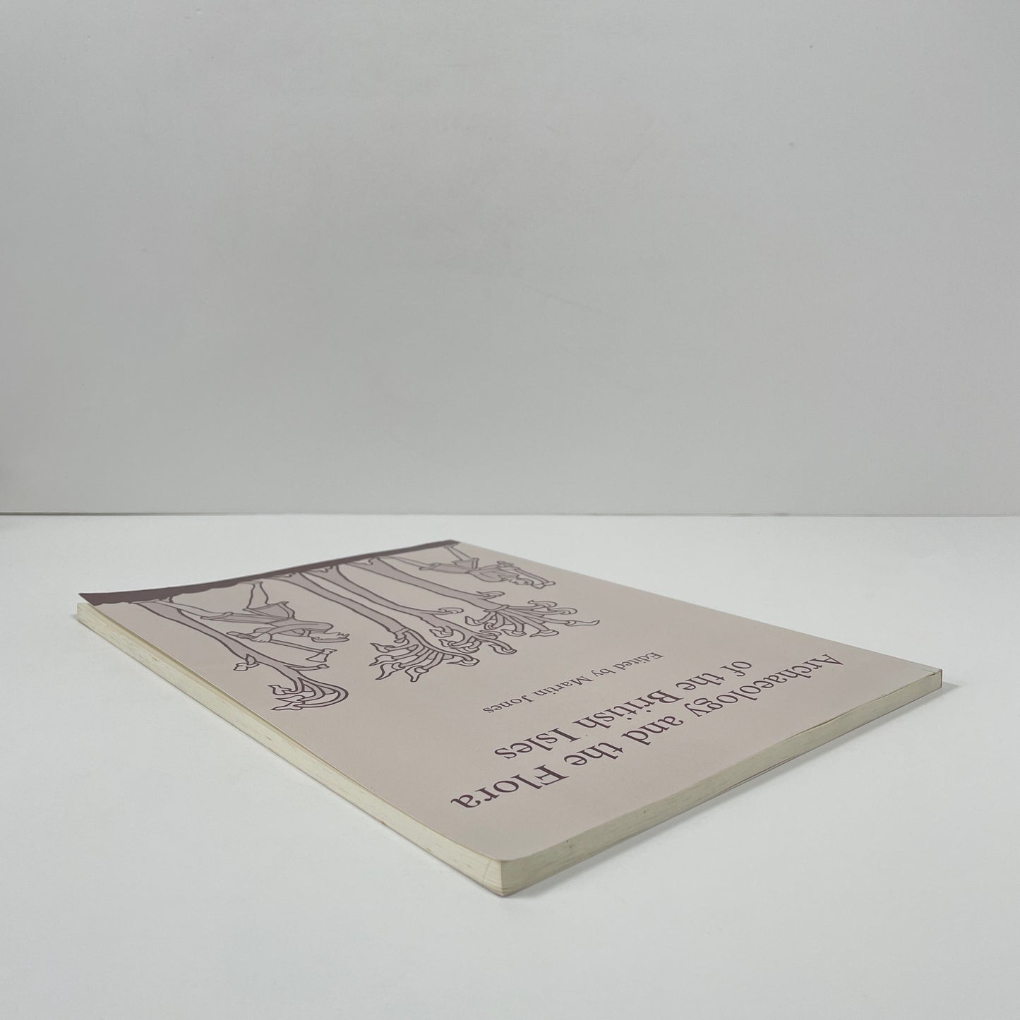 Archaeology And The Flora Of The British Isles; Jones, Martin