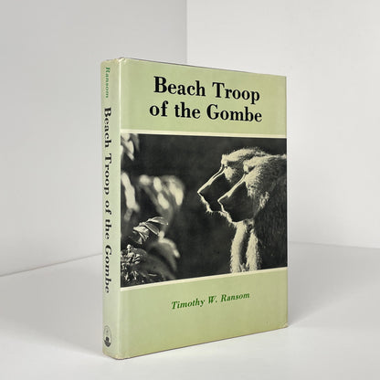 Beach Troop Of The Gombe; Ransom, Timothy W