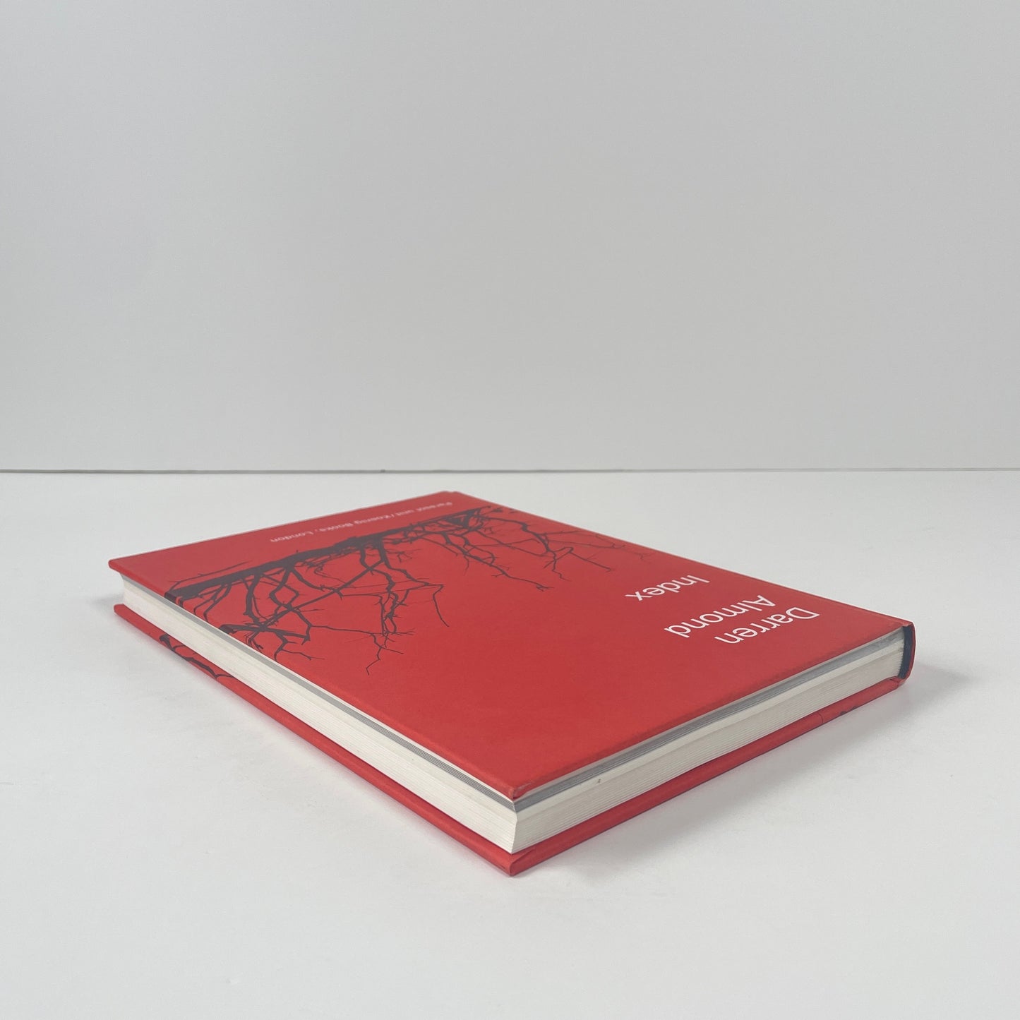 Darren Almond: Index; de Weck Ardalan, Ziba