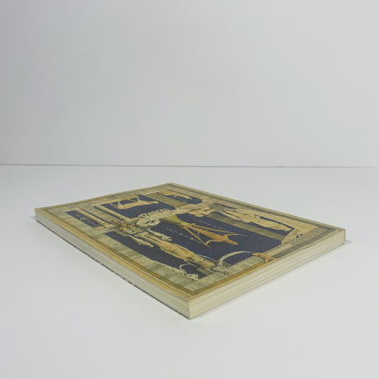 Design Drawings For Architecture Costume And The Decorative Arts From 1570; Hobhouse, Niall; Fuhring, Peter