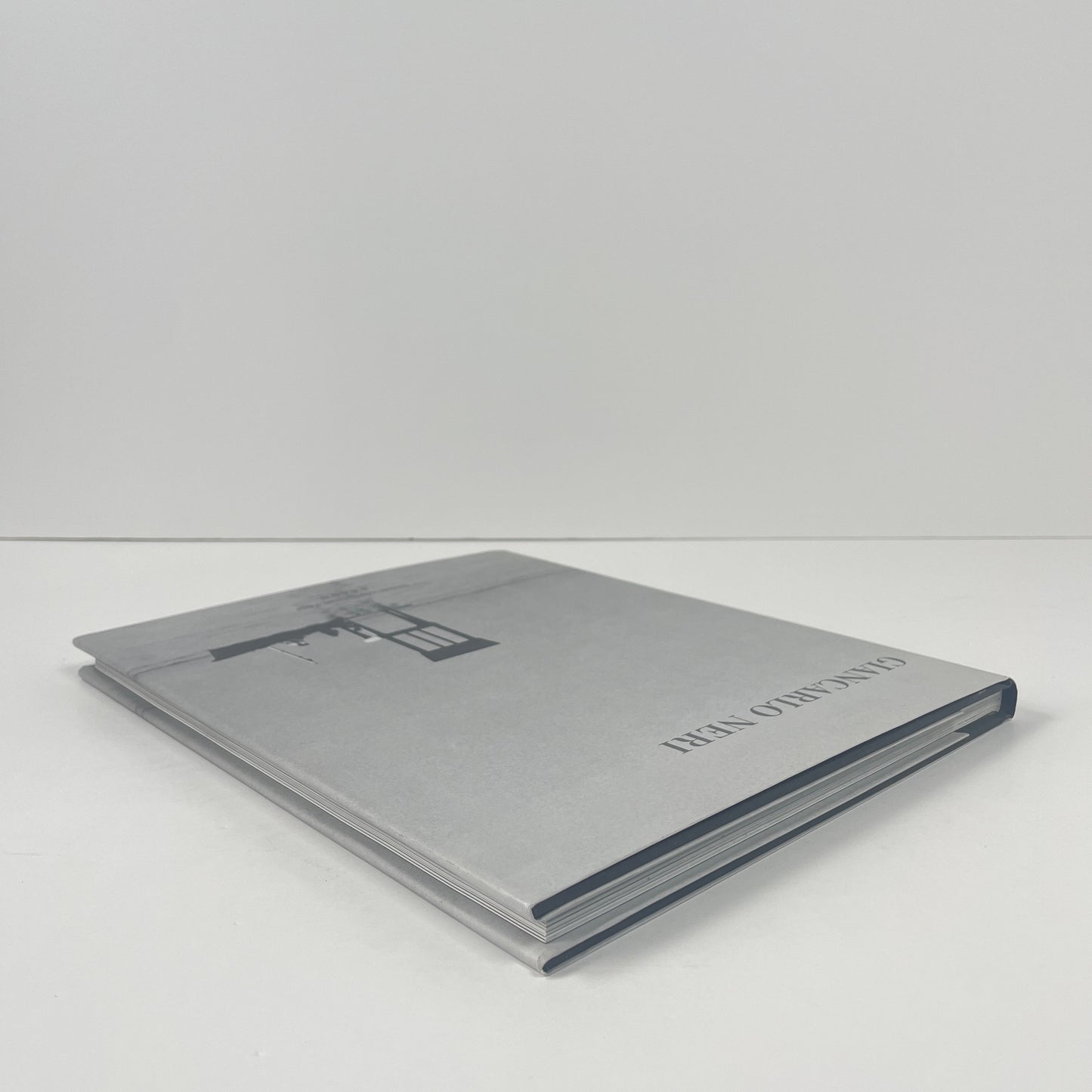 Giancarlo Neri; Guida, Federica