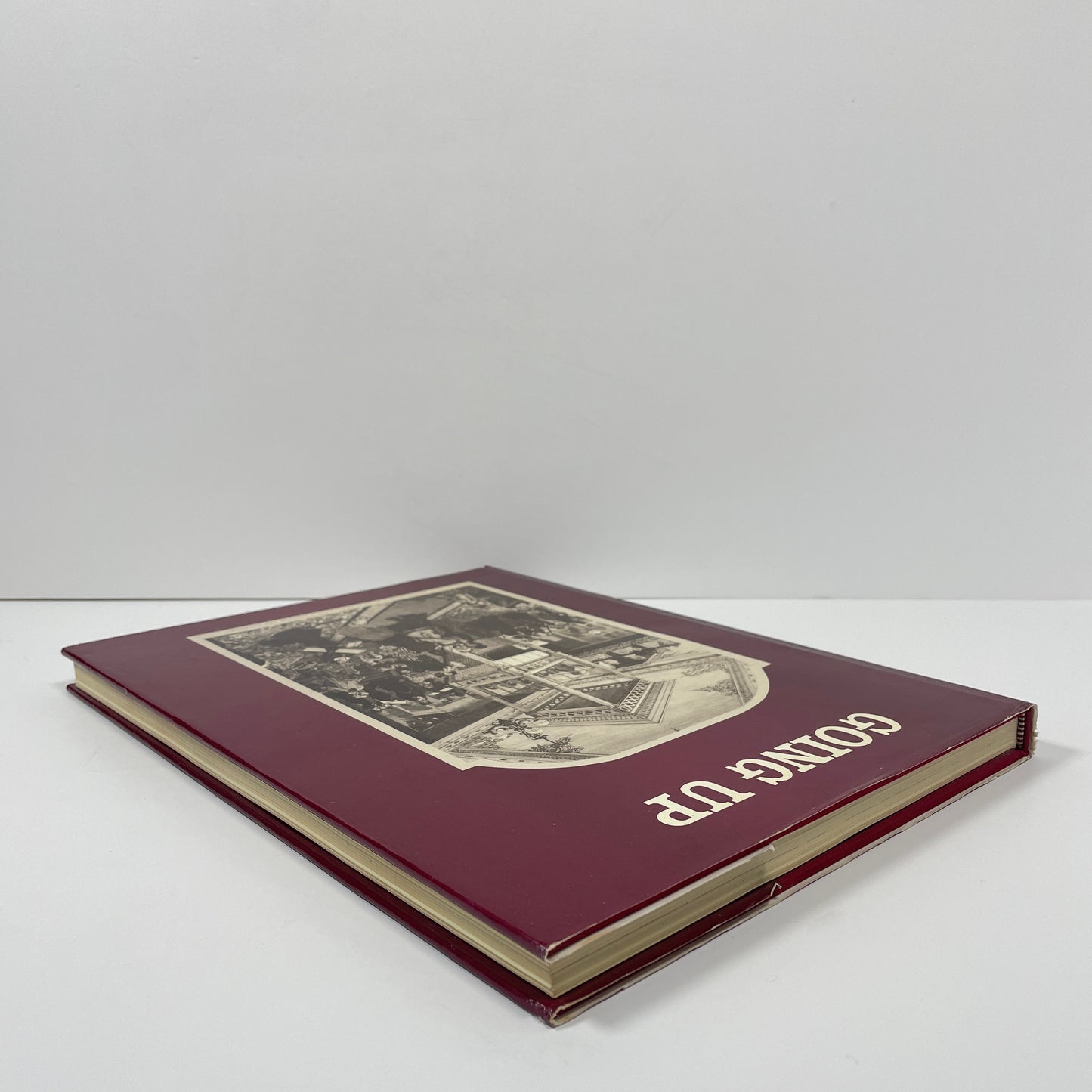 Going Up, An Informal History Of The Elevator From The Pyramids To The Present; Gavois, Jean