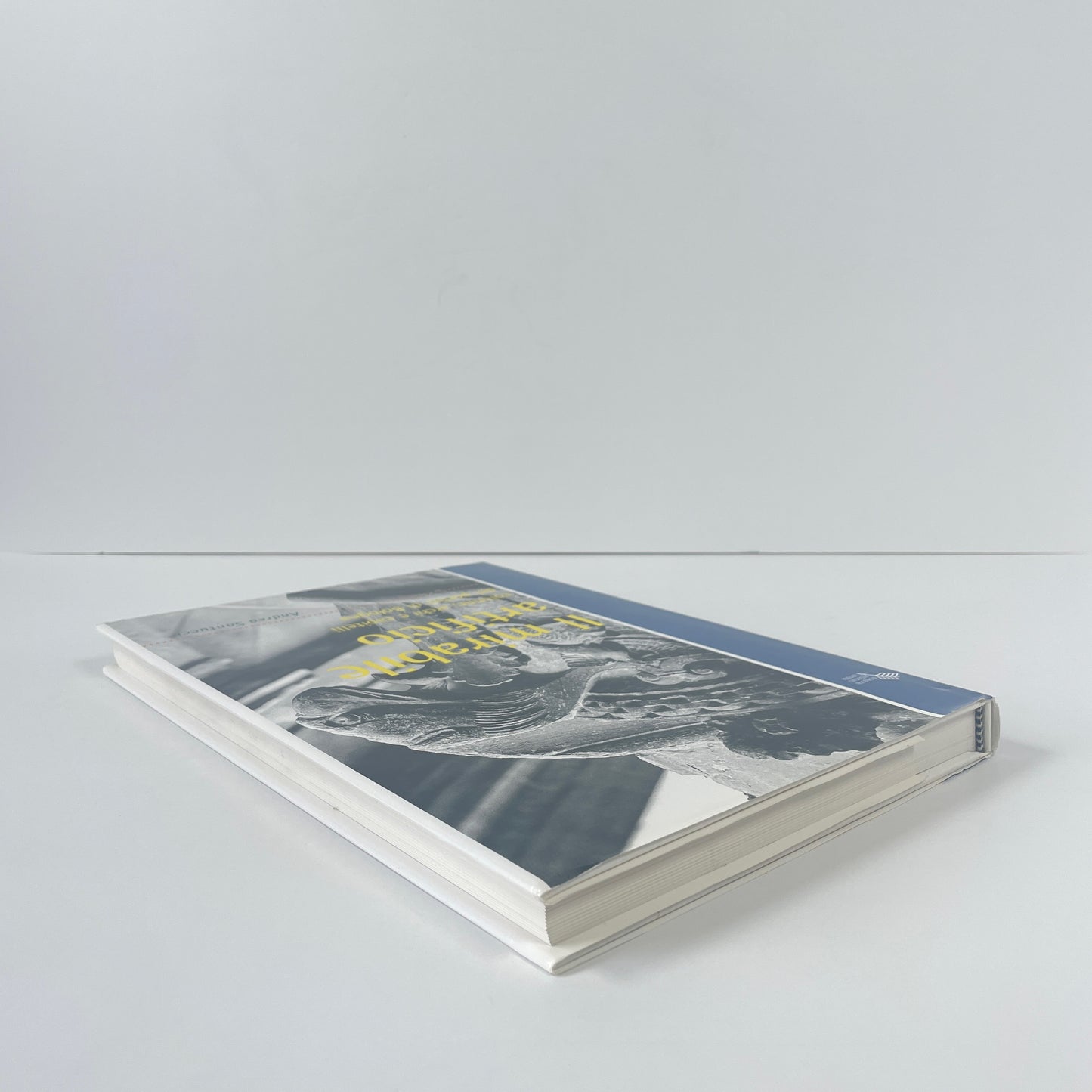 Il Mirabile Artificio Colonne, Archi E Capitelli Dei Portici Di Bologna; Santucci, Andrea