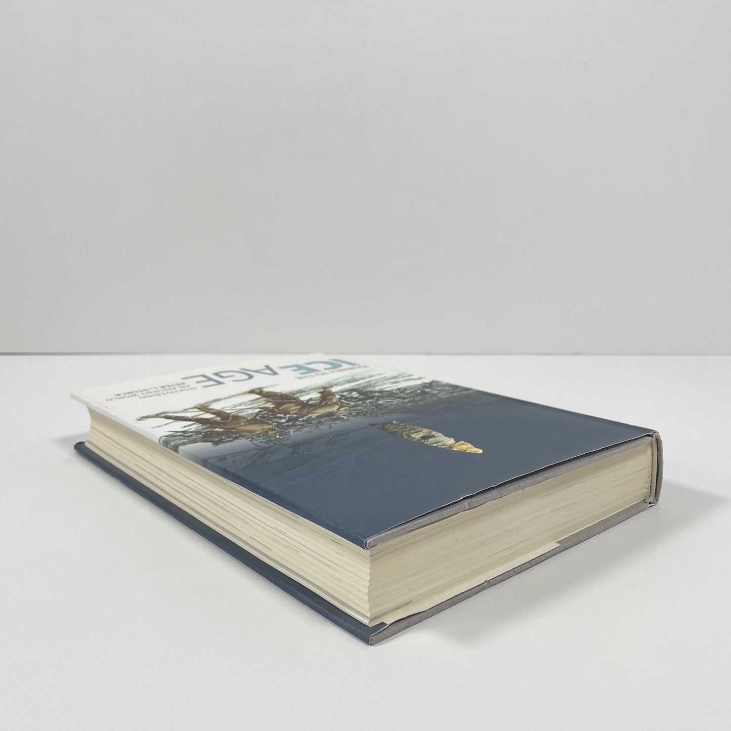 Journey To The Ice Age, Discovering An Ancient World; Storck, Peter L