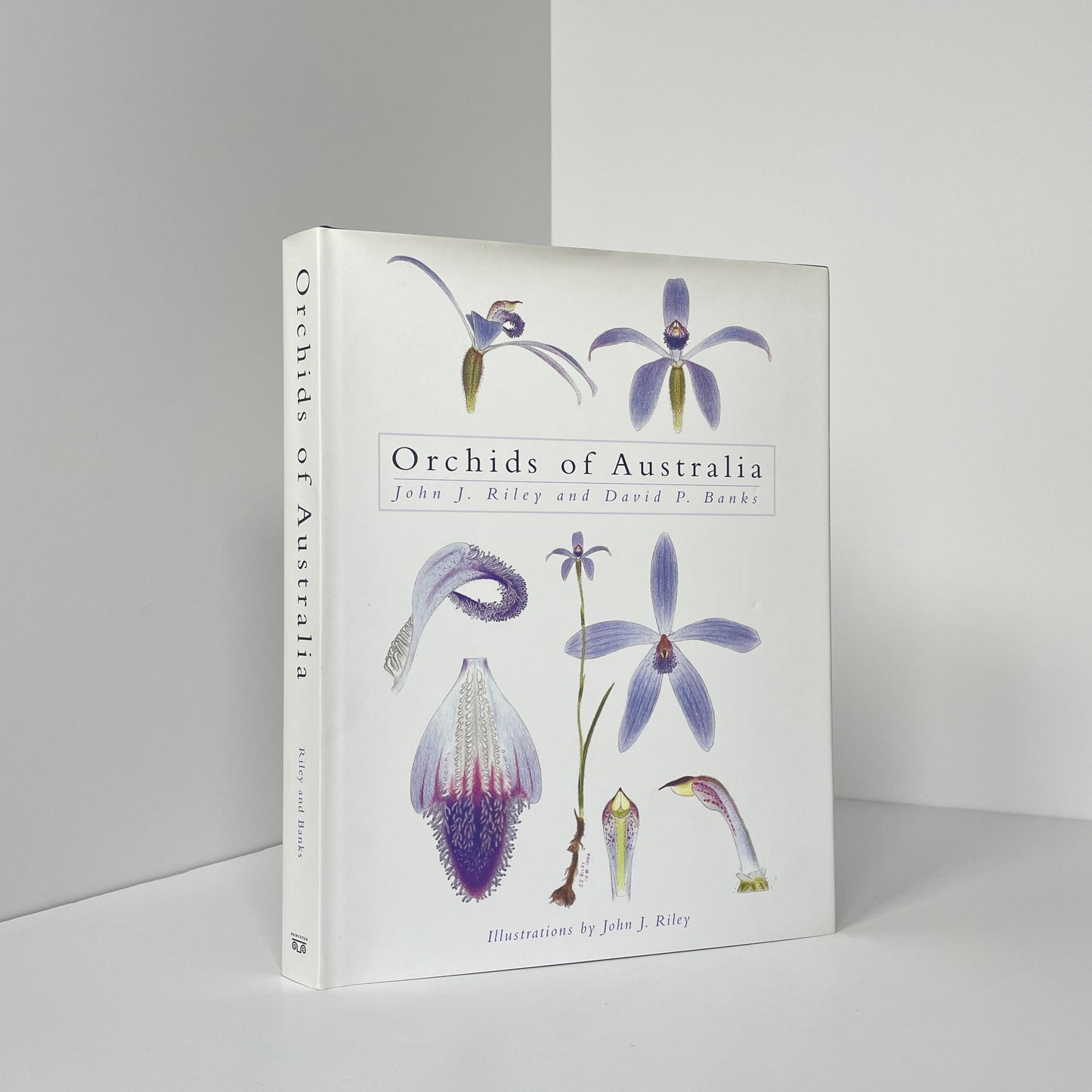 Orchids Of Australia; Riley, John J; Banks, David P