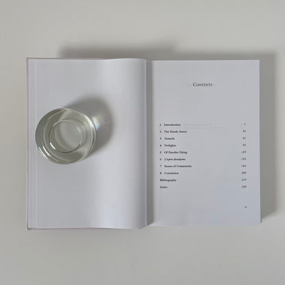 Political Dandyism In Literature And Art, Genealogy Of A Paradigm; Jan De Vugt