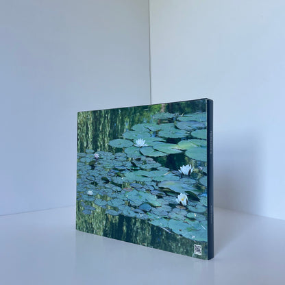 Reflections, Travelling Through The Year With Camera And Notebook; Preece, Barry