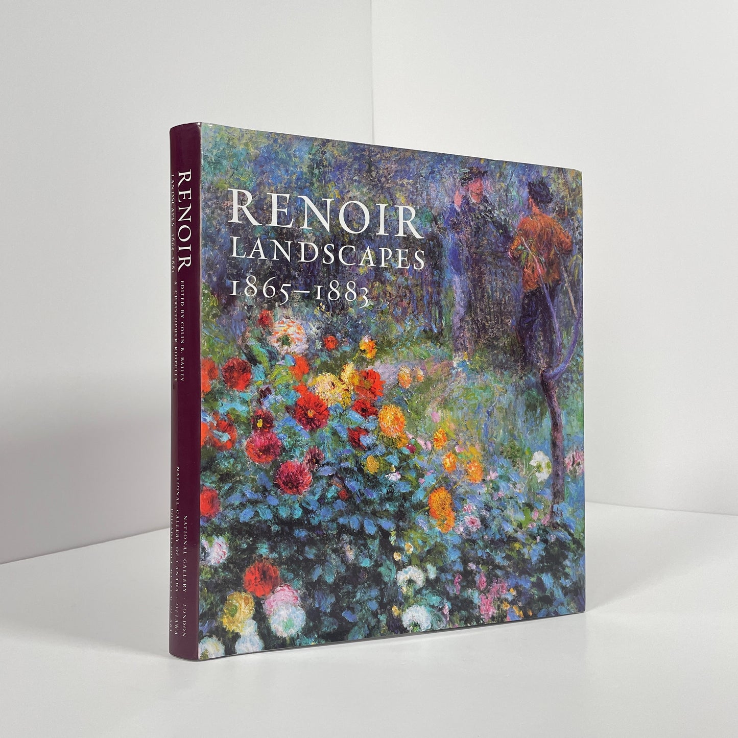 Renoir Landscapes 1865-1883; Baily, Colin B; Riopelle, Christopher