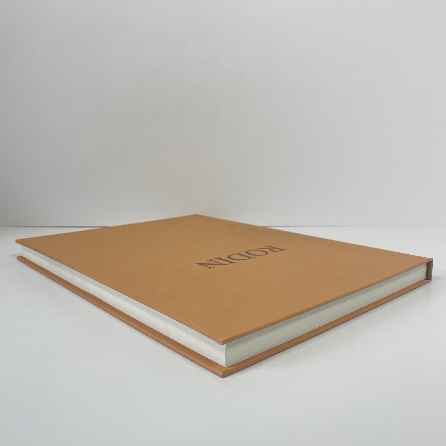 Rodin, 100 Drawings And Watercolours; Judrin, Claudie