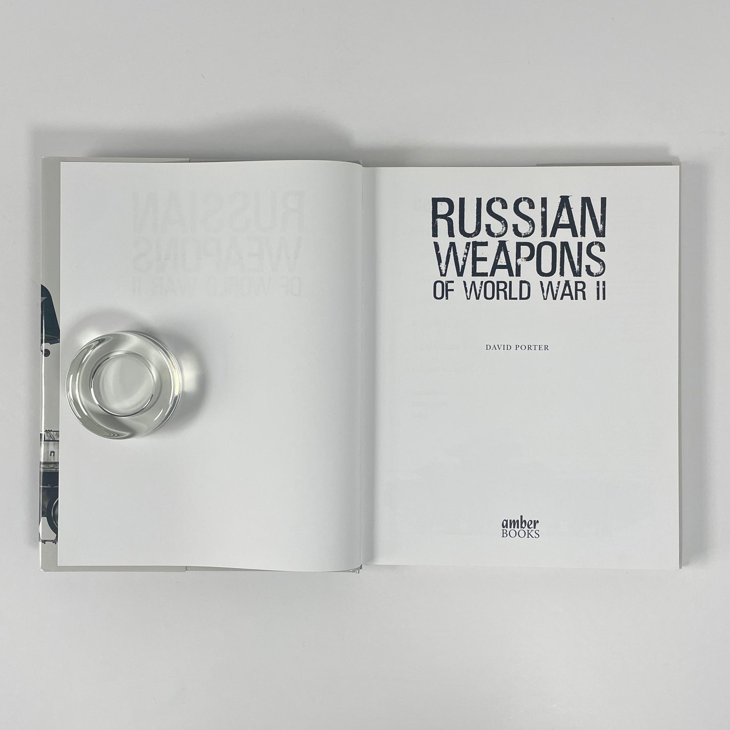 Russian Weapons Of World War II; Porter, David