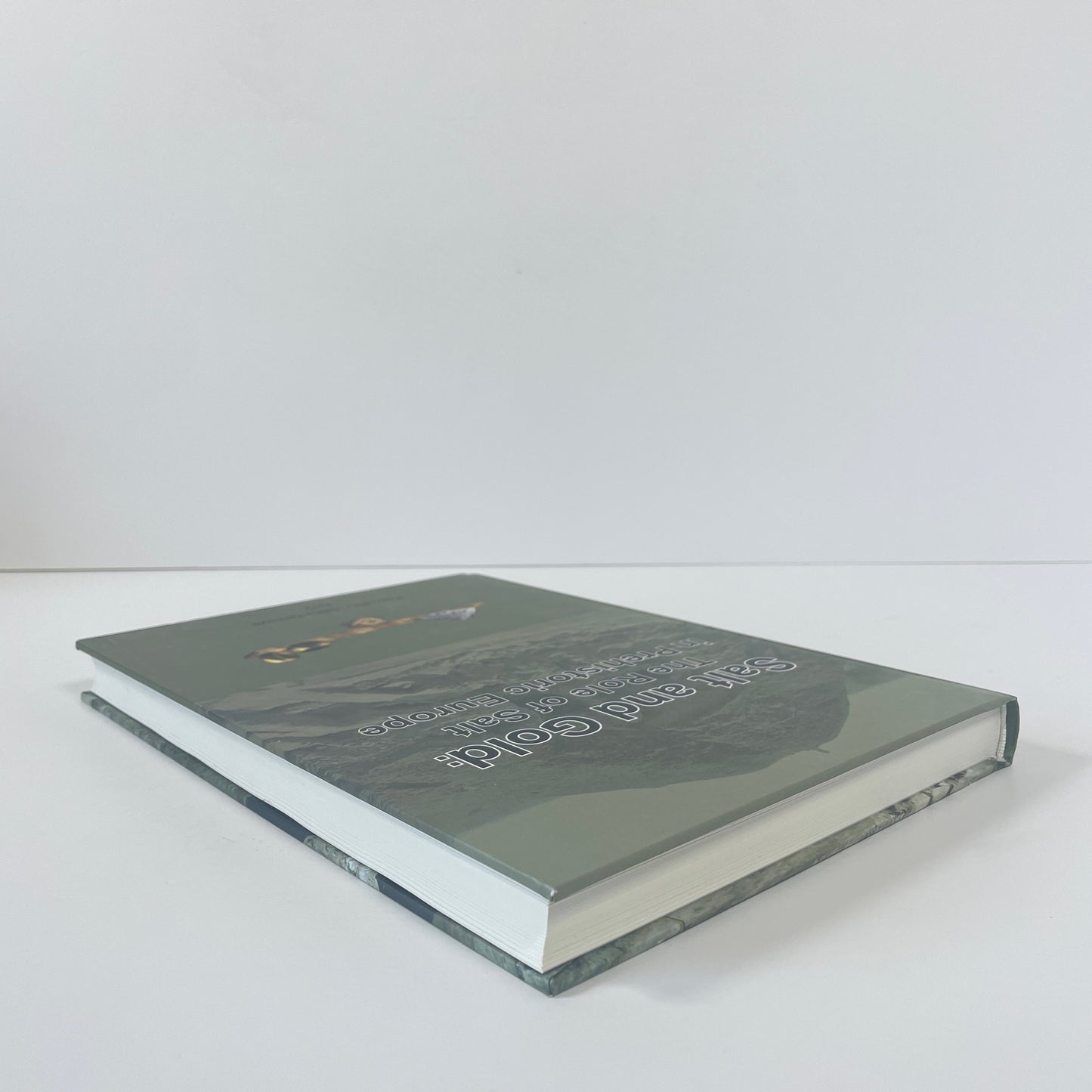 Salt And Gold: The Role Of Salt In Prehistoric Europe; Nikolov, Vassil; Bacvarov, Krum