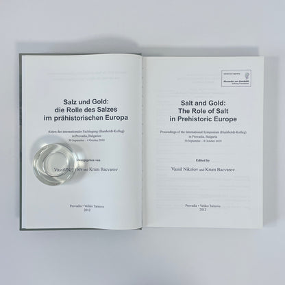 Salt And Gold: The Role Of Salt In Prehistoric Europe; Nikolov, Vassil; Bacvarov, Krum