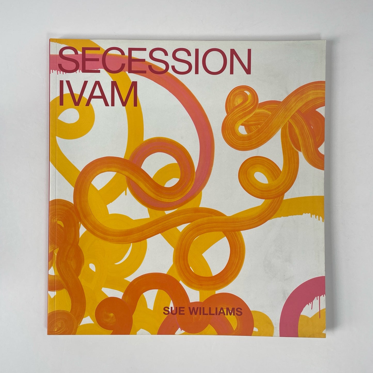 Secession Ivam, Art For The Institution And The Home; Williams, Sue