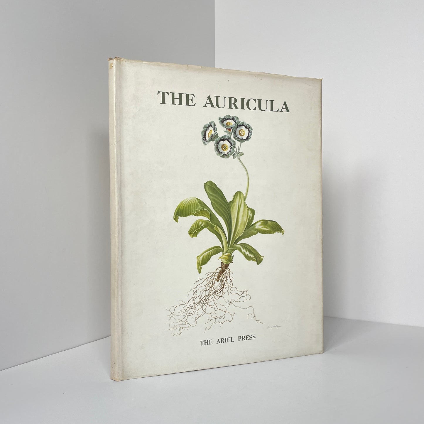 The Auricula, Its History And Character; Moreton, C Oscar