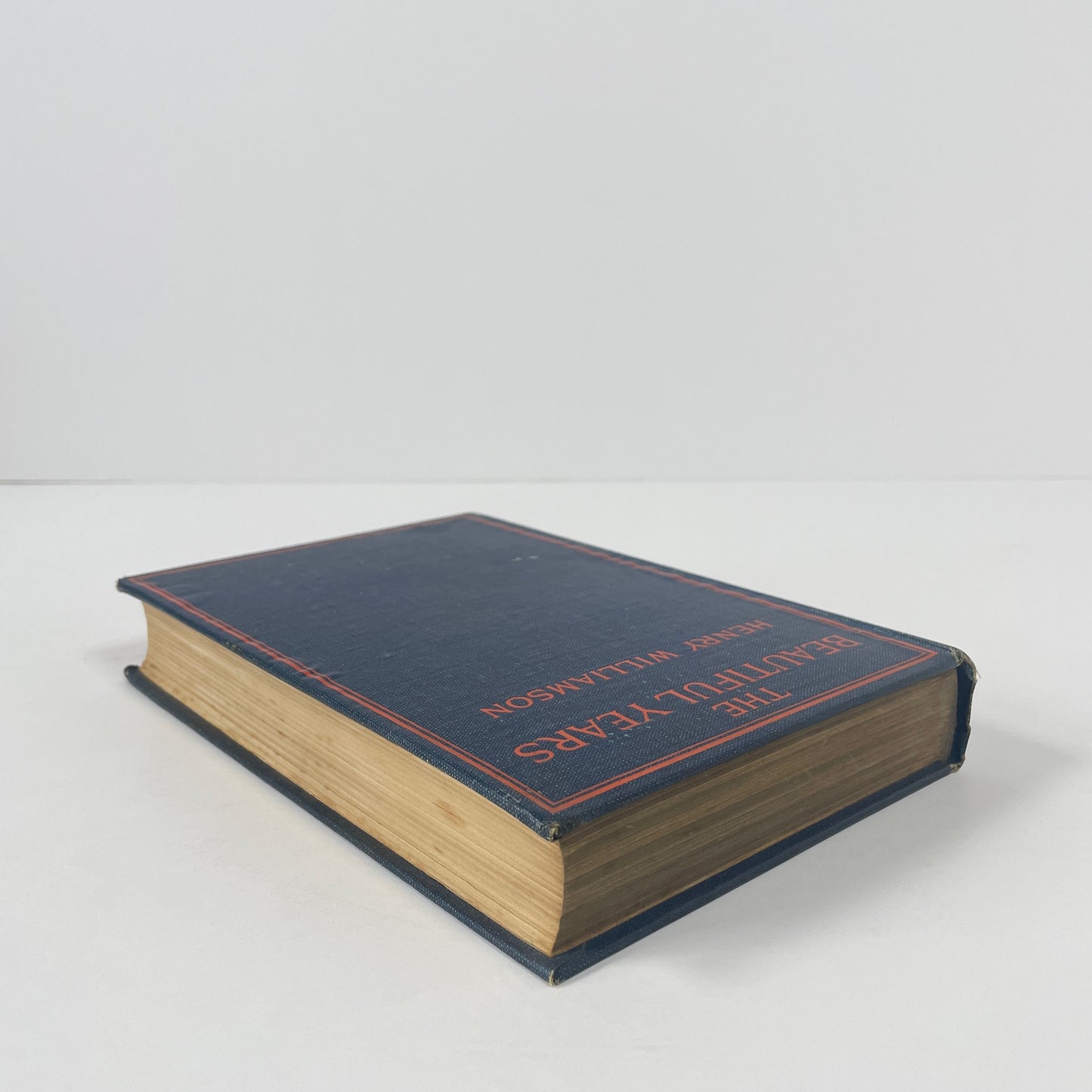 The Beautiful Years, A Tale Of Childhood; Williamson, Henry