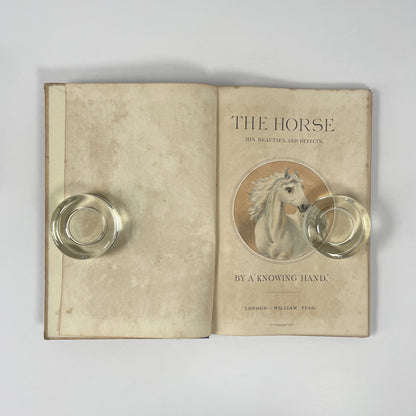 The Horse, His Beauties And Defects; A Knowing Hand