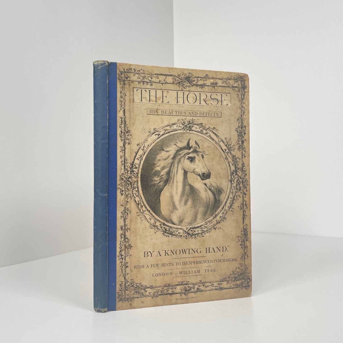 The Horse, His Beauties And Defects; A Knowing Hand