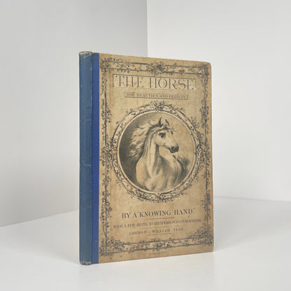 The Horse, His Beauties And Defects; A Knowing Hand