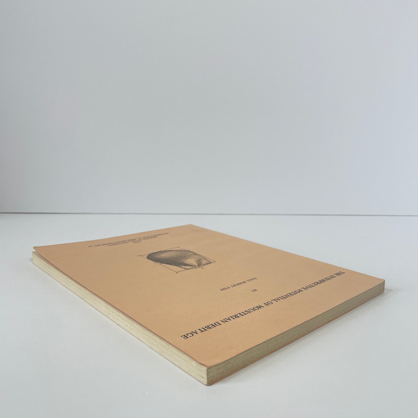 The Interpretive Potential Of Mousterian Debitage; Fish, Paul Robert