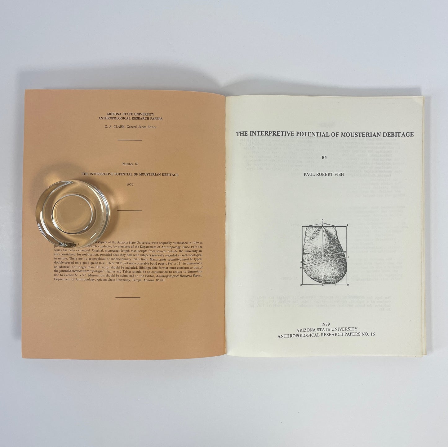 The Interpretive Potential Of Mousterian Debitage; Fish, Paul Robert