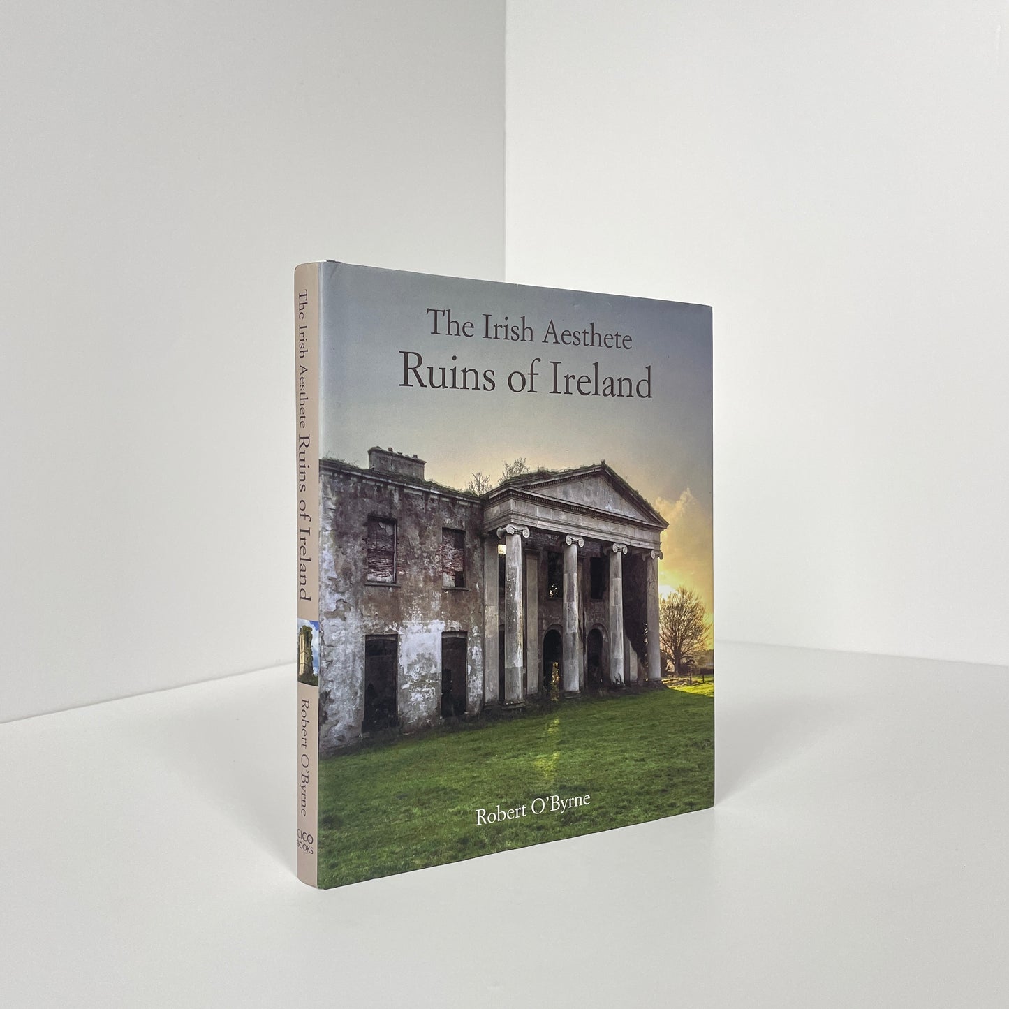 The Irish Aesthete, Ruins Of Ireland; O'Byrne, Robert